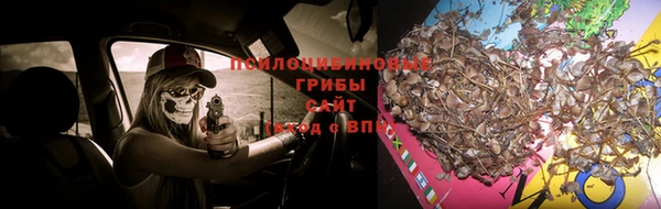 спиды Белокуриха