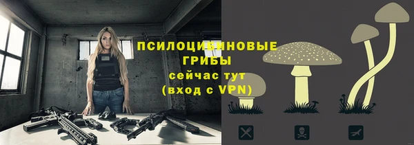 прущая мука Беломорск