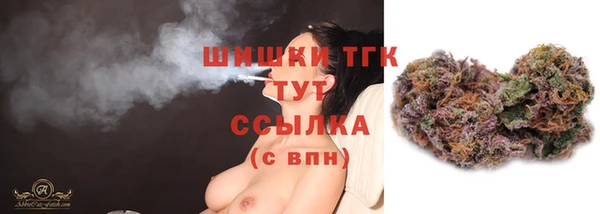 гашик Белоозёрский