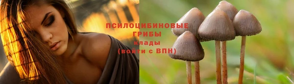 спиды Белокуриха