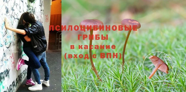 гашик Белоозёрский